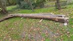 Antieke Eiken Gebinte Balken - 7.5m, Ophalen, Gebruikt, 25 tot 50 mm, Eiken
