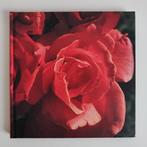 Elvin McDonald - The Color Garden (Red : Single Color......., Boeken, Natuur, Bloemen, Planten en Bomen, Elvin McDonald, Ophalen of Verzenden