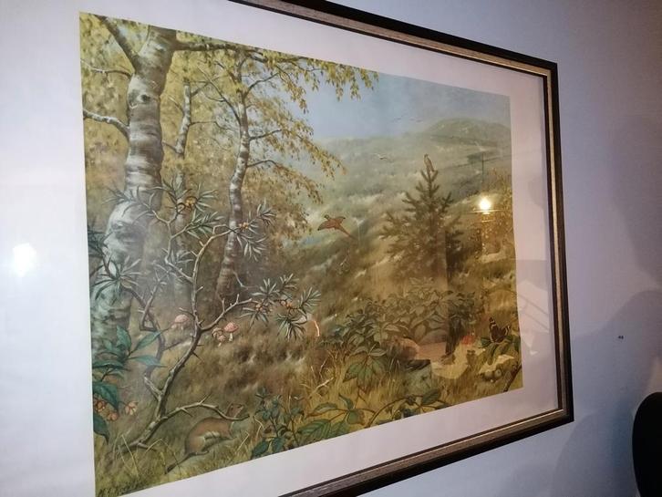 Schoolplaat de duinen, Antiek en Kunst, Kunst | Schilderijen | Abstract, Ophalen