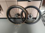 Ultegra c50 carbon disc wielset r8170, Wiel, Ophalen of Verzenden, Zo goed als nieuw, Shimano Ultegra