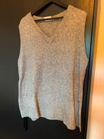 Wasabi mouwloze trui nieuw maat 46-48 grijs, Verzenden, Nieuw, Grijs, Trui of Vest