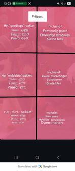 Hobbyhorse Verassingscommissies - Unieke Kunstwerken!, Hobby en Vrije tijd, Ophalen of Verzenden, Nieuw