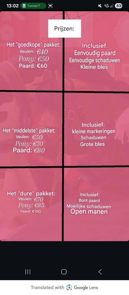 Hobbyhorse Verassingscommissies - Unieke Kunstwerken!, Hobby en Vrije tijd, Schilderen, Nieuw, Ophalen of Verzenden