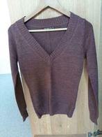Mooie Bruin/Rood Trui NIEUW maat XS/34, Kleding | Dames, Bruin, Nieuw, Ophalen of Verzenden, Terranova