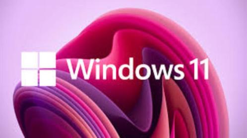 Windows 11 installatie niet compatibele PC + Drivers+Back-UP, Computers en Software, Besturingssoftware, Nieuw, Windows, Ophalen of Verzenden