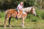 gezocht verzorg pony/paard om mee te lessen, Dieren en Toebehoren, Paarden en Pony's | Verzorgingsproducten, Ophalen of Verzenden