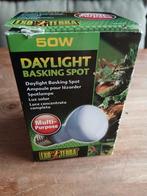 Warmtelamp terrarium, Dieren en Toebehoren, Reptielen en Amfibieën | Toebehoren, Ophalen of Verzenden, Nieuw