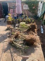 kymco likevoor het oude model onderdelen, Ophalen of Verzenden, Gebruikt, Overige typen, Kymco