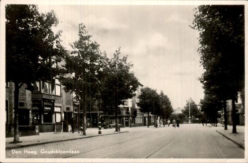 Goudsbloemlaan, Den Haag, Verzamelen, Ansichtkaarten | Nederland, Ongelopen, Zuid-Holland, 1940 tot 1960, Ophalen of Verzenden
