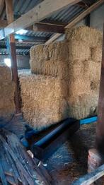 Hooi, kleine balen zomer 2025, Ophalen, Vee