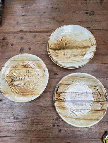 12 visborden 24 cm beschikbaar voor biedingen