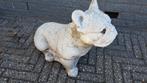 Franse Buldog 40cm hoog 60cm lang 30cm breed, Tuin en Terras, Tuinbeelden, Ophalen, Zo goed als nieuw