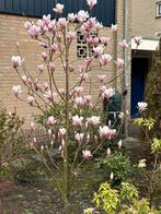 Natuurboeken en tuinboeken diverse soorten .Tuin en natuur, Boeken, Natuur, Gelezen, Ophalen of Verzenden