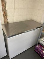 Vrieskist Liebherr - 574l, Vrieskist, Gebruikt, Vrijstaand, 90 cm of meer