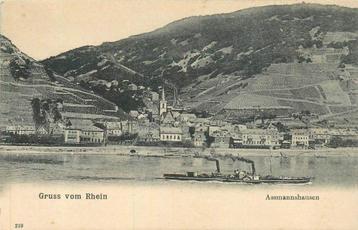 (381-244-039) Gruss vom Rhein Assmannshausen beschikbaar voor biedingen