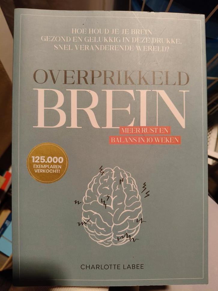 Charlotte Labee - Overprikkeld brein, Boeken, Psychologie, Zo goed als nieuw, Ophalen of Verzenden