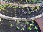 Muurblokken voor tuinborder - mag weg voor half geld, Ophalen, Blok, Nieuw, Minder dan 25 cm
