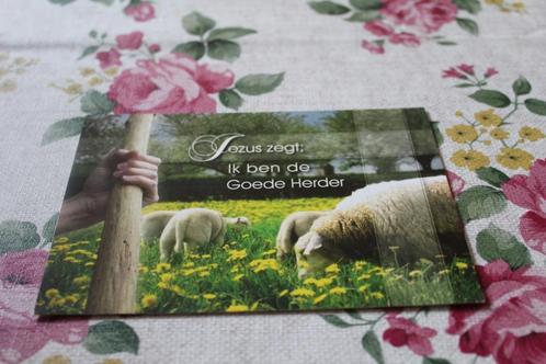 Postkaart - Grazende Schapen, Jezus, de goede Herder, Verzamelen, Ansichtkaarten | Dieren, Ongelopen, 1980 tot heden, Overige soorten