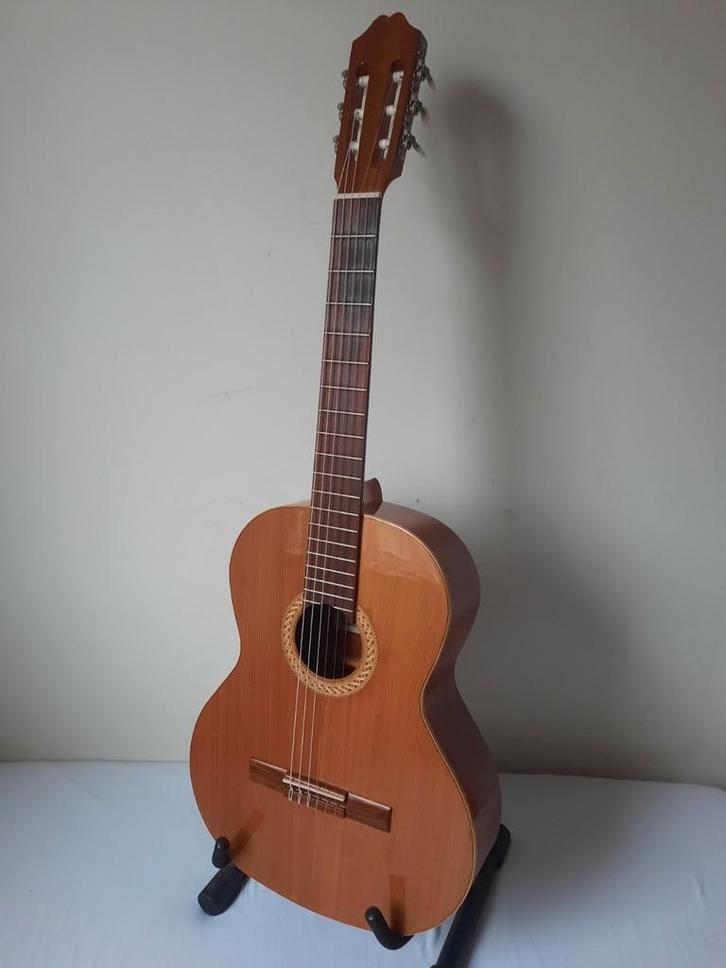 Juan Salvador klassieke gitaar Massief bovenblad  Nwe hoes, Muziek en Instrumenten, Snaarinstrumenten | Gitaren | Akoestisch, Zo goed als nieuw