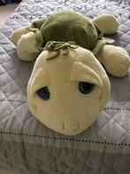 Knuffel Schildpad - Nieuw, Ophalen of Verzenden, Nieuw, Overige typen