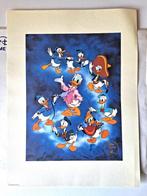 Exclusive Commemorative Lithograph, Verzamelen, Disney, Ophalen of Verzenden, Nieuw