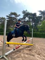 14 jarige veelzijdige kinderpony, Dieren en Toebehoren, Pony's, Gechipt, B, Ruin, B pony (1.17m tot 1.27m)
