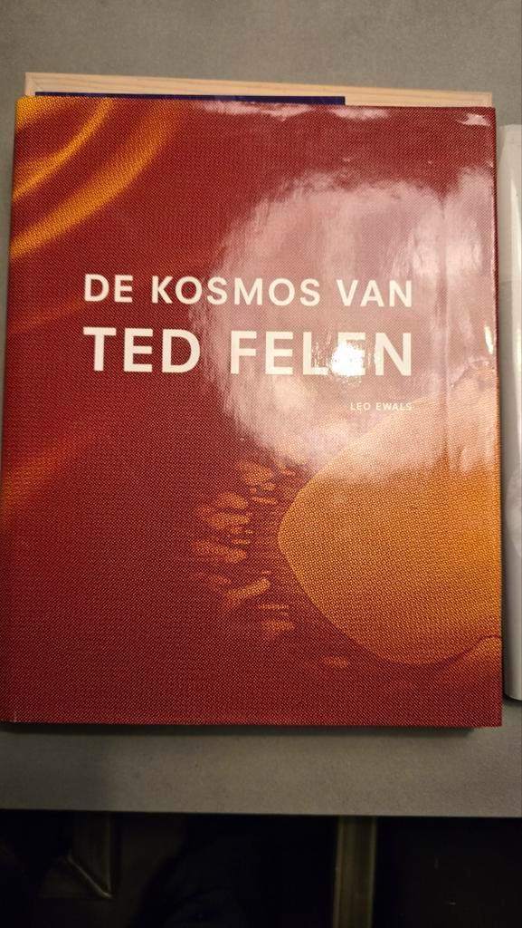 Ted Felen - Monografie over een kleurrijke kunstenaar, Boeken, Kunst en Cultuur | Beeldend, Zo goed als nieuw, Schilder- en Tekenkunst