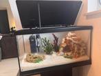 Aqualantis Aquarium Compleet, Dieren en Toebehoren, Vissen | Aquaria en Toebehoren, Ophalen of Verzenden, Zo goed als nieuw, Overige typen