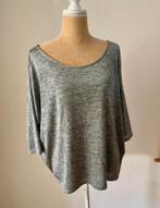 Mooie SuperTrash top gemêleerd zilvergrijs M, Maat 38/40 (M), Supertrash, Ophalen of Verzenden, Zo goed als nieuw
