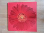 Schilderij/ canvas print bloem. Rood., Ophalen