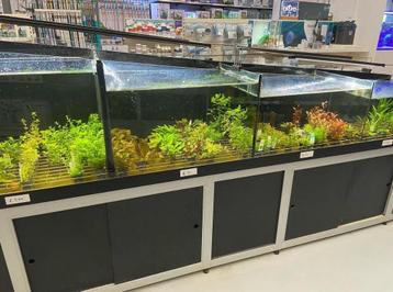 2x aquarium met sump beschikbaar voor biedingen