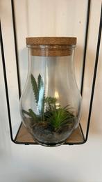 Terrarium met kunstplant, Ophalen of Verzenden, Zo goed als nieuw