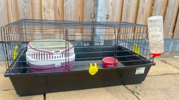 Caviakooi met voerbak, drinkfles, hooibal en vervoerhokje. beschikbaar voor biedingen