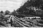 Elspeet TWEE ansichtkaarten, 1940 tot 1960, Gelopen, Verzenden