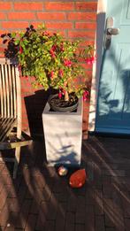 Bloembak grijs, Ophalen, Zo goed als nieuw, Minder dan 30 cm