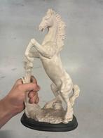 Steigerend Paard Beeld - Decoratief Kunstobject, Ophalen
