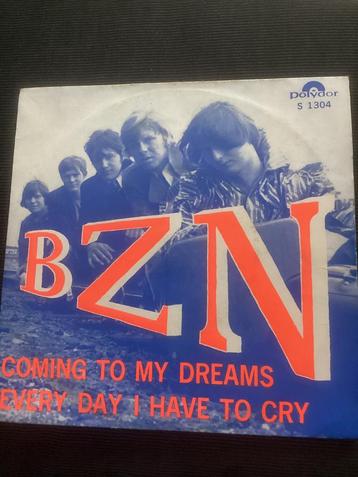 BZN - Coming to my dreams beschikbaar voor biedingen