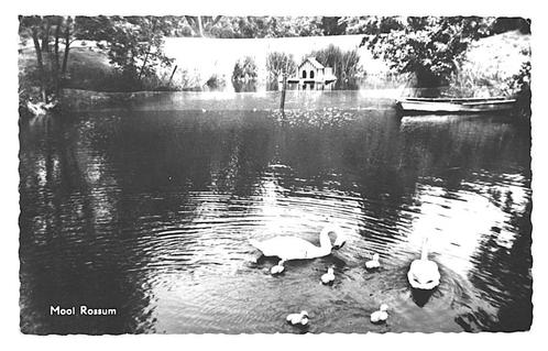 990295	Rossum	1960 Gld	 	Gelopen met postzegel, Verzamelen, Ansichtkaarten | Nederland, Gelderland, 1940 tot 1960, Ophalen of Verzenden