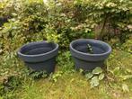 2 grote plastic bakken voor bloemen voor planten., Ophalen, Kunststof, Minder dan 30 cm, Minder dan 60 cm