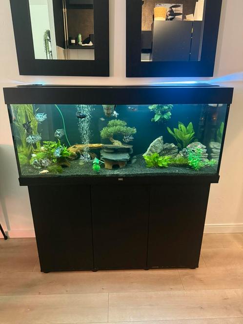 Jewel 120 cm met parrot cichliden, Dieren en Toebehoren, Vissen | Aquaria en Toebehoren, Zo goed als nieuw, Gevuld zoetwateraquarium