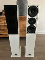 Audio Physic Classic 10 in uitst. staat, Zo goed als nieuw, 120 watt of meer, Front, Rear of Stereo speakers, Ophalen