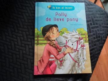 Polly de lieve pony beschikbaar voor biedingen