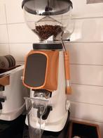 Fiorenzato All Ground Coffee Grinder, Afneembaar waterreservoir, 10 kopjes of meer, Koffiemachine, Zo goed als nieuw