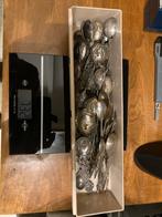 Col Zilveren Lepels 54 stuks bijkamp en visser steenwijk, Ophalen