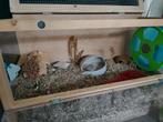 Hamsterhok, dwerghamster hok, Minder dan 75 cm, Zo goed als nieuw, Hok, Ophalen