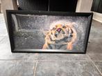 Schilderijen tijger panter, Huis en Inrichting, Woonaccessoires | Schilderijen, Tekeningen en Foto's, Ophalen, Oorspronkelijke maker