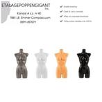 Torso's Dames en Heren -Zwart of Wit of Huidskleur-Nieuw EPG, Ophalen of Verzenden, Wit