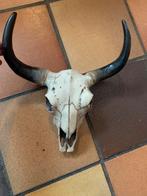 Schedel bizon achtige, Ophalen of Verzenden, Zo goed als nieuw, Wild dier, Schedel