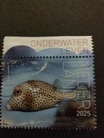2025 spotted trunkfish beleef de natuur, Postzegels en Munten, Postzegels | Nederland, Ophalen of Verzenden