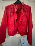 Rode Bikerjack XL (valt als L), Ophalen of Verzenden, Gedragen, Maat 42/44 (L), Rood